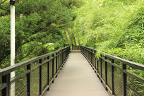 ������Ĳ�����