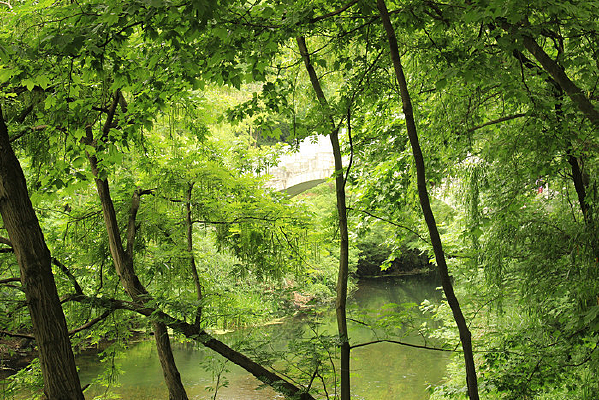 ������ĺ���