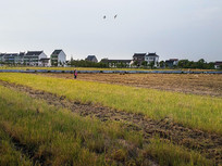 ��԰����