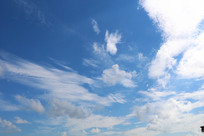 �����ƶ� 