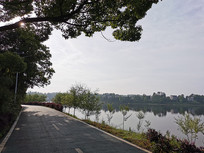 �����Ϲ�·