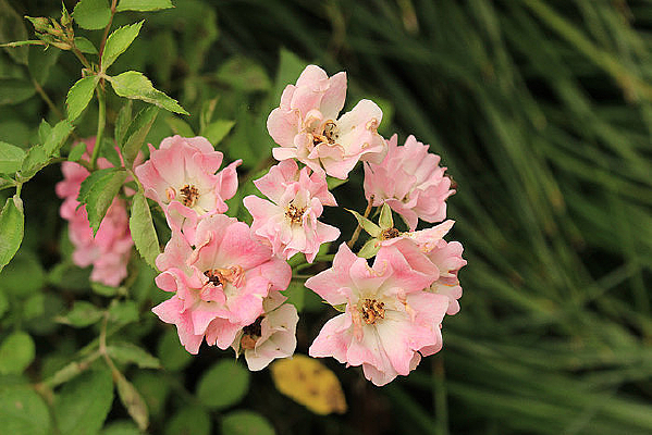 �ݴ���������