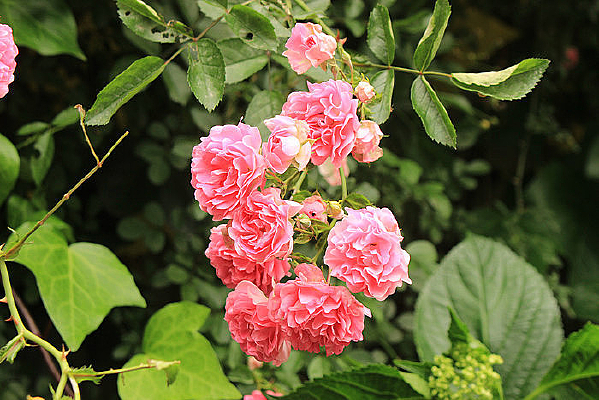 ����������