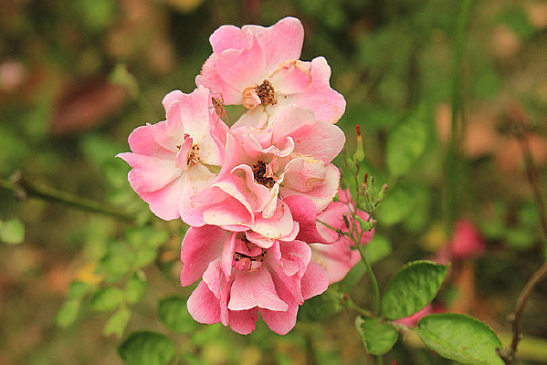 ���˵������