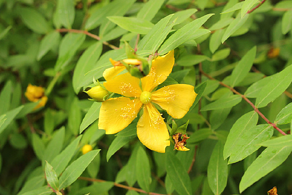 һ���˿÷��