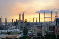 ��ҵ԰ï����ϩ��