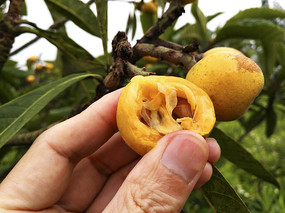 ����������