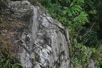 ��������ʯͷ