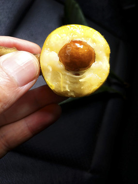 ���˹���