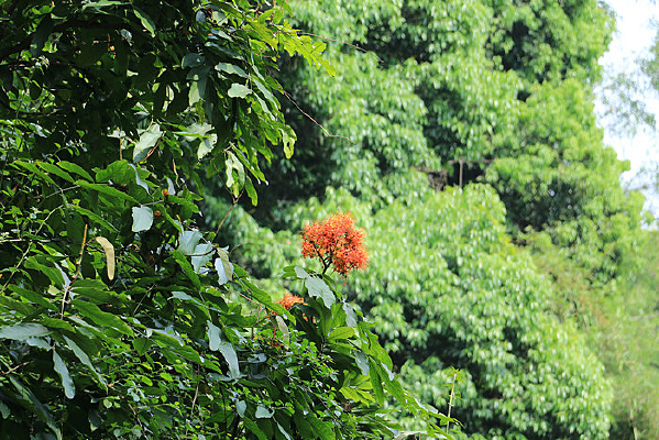 �й����ǻ�