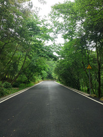 ��ֱ��ɭ�ֹ�·