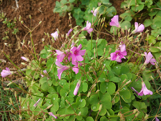 �컨������