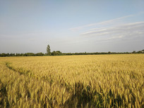 ������˵�����