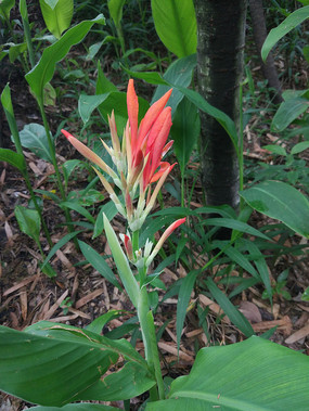 ����������˽�