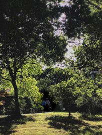 ��԰����