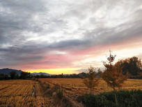 ��ɽ����԰Ϧ��