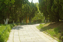 �ൺֲ��԰�����е�