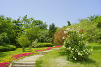 �ൺֲ��԰԰���̵�ʯ��