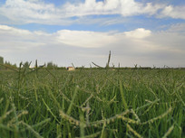 �̲���������