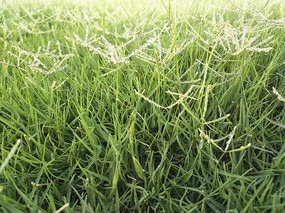 �������ͼ