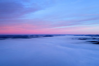 ���˰��볿��ɭ���ƺ�