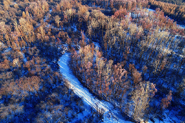 ���˰��붬���ֺ�ѩ��