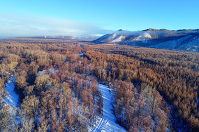 ���˰��붬���ֺ�ѩԭ���