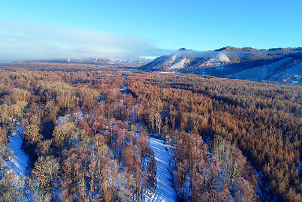 ���˰��붬���ֺ�ѩԭ���