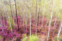 ���˰���ž�����