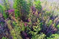 ���˰������� 