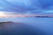 ���˰���ɭ����������