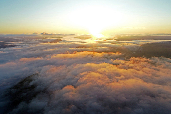 ���˰����ƶ��ճ�