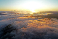 ���˰����ƶ��ճ�