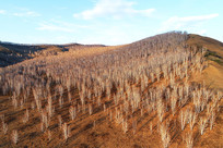 ������������紺ï�ܵİ�����