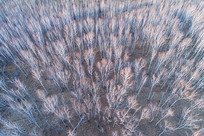 ���Ķ�������紺ï�ܰ����� 