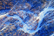 ���ĺ�������