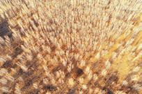 �����紺ï�ܵİ����� 