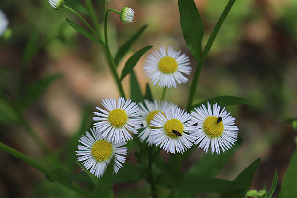 ���˵ķ��