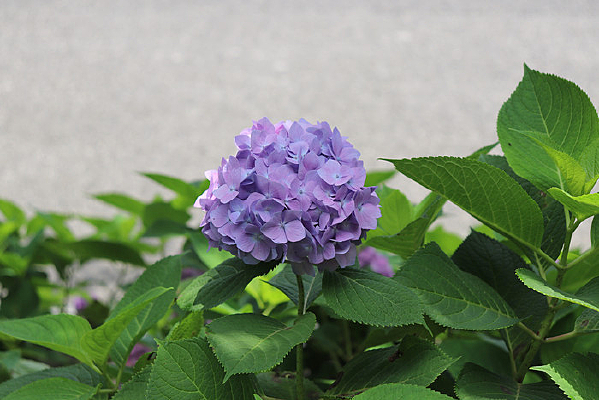 ���µ�����