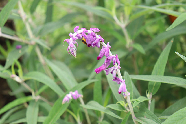 һ����β��