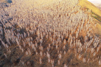 �紺ɽ��ï�ܵİ����� 