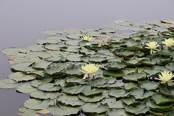 �������˯��