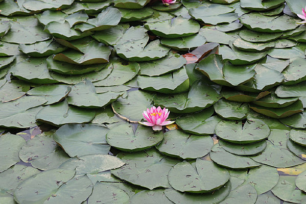 ���˵�˯��