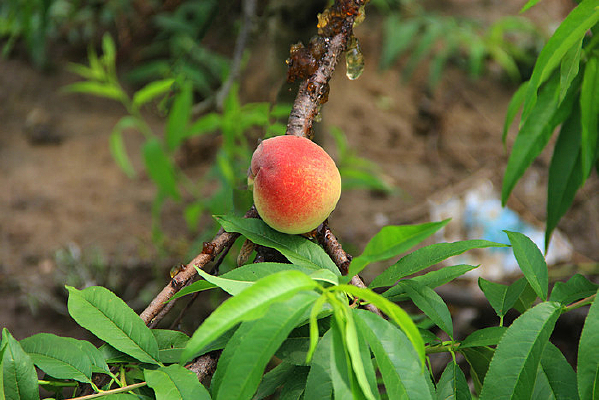 �ҽ�����