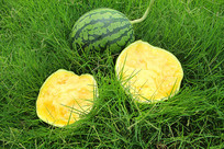 Ƥģ