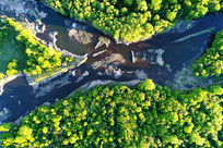 ���˰���ï�����ֺ���