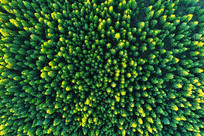 ���Ĵ����ֺ����� 