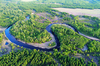 ������ɫ���ֺ���