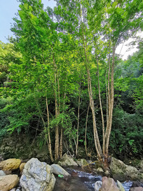 �ӹ��е���ɫ����