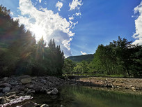 �����µ�С��